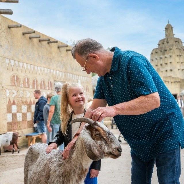 Children's farms and zoos