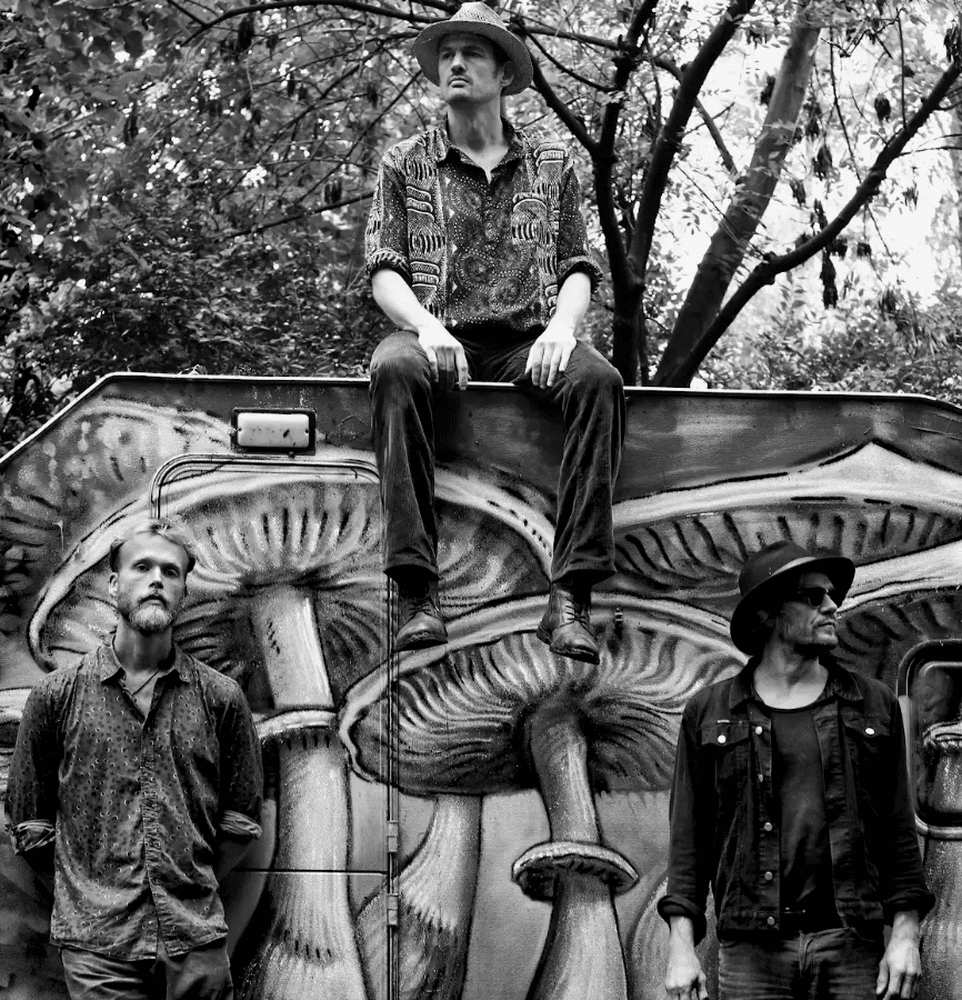 Image image 3cxdgRAmd5BCOsxzR40ud1k