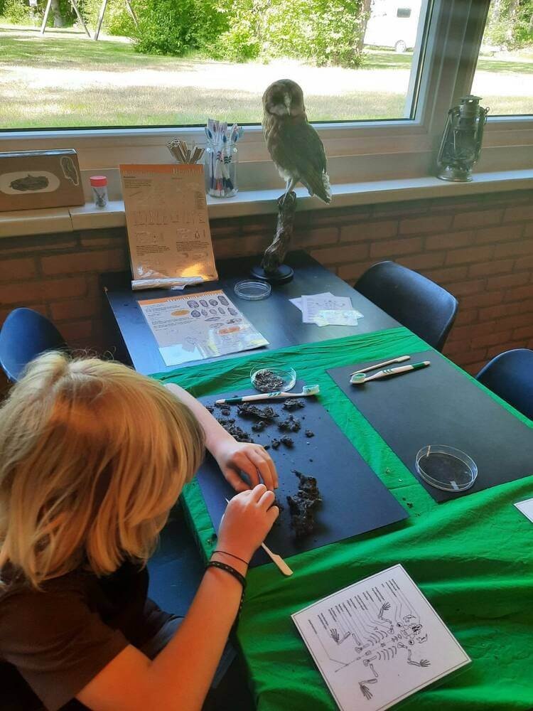 Image image zzcruEHzUwJWeYJpQ17egY