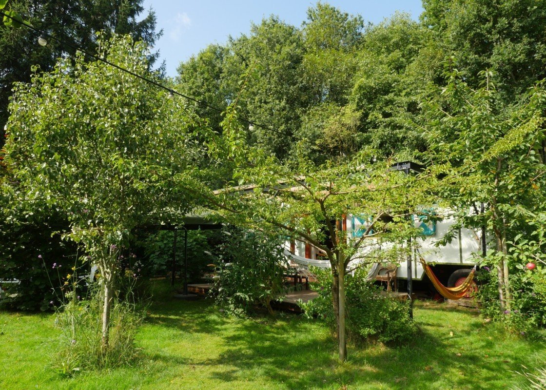 Pachamama 2 p1050162